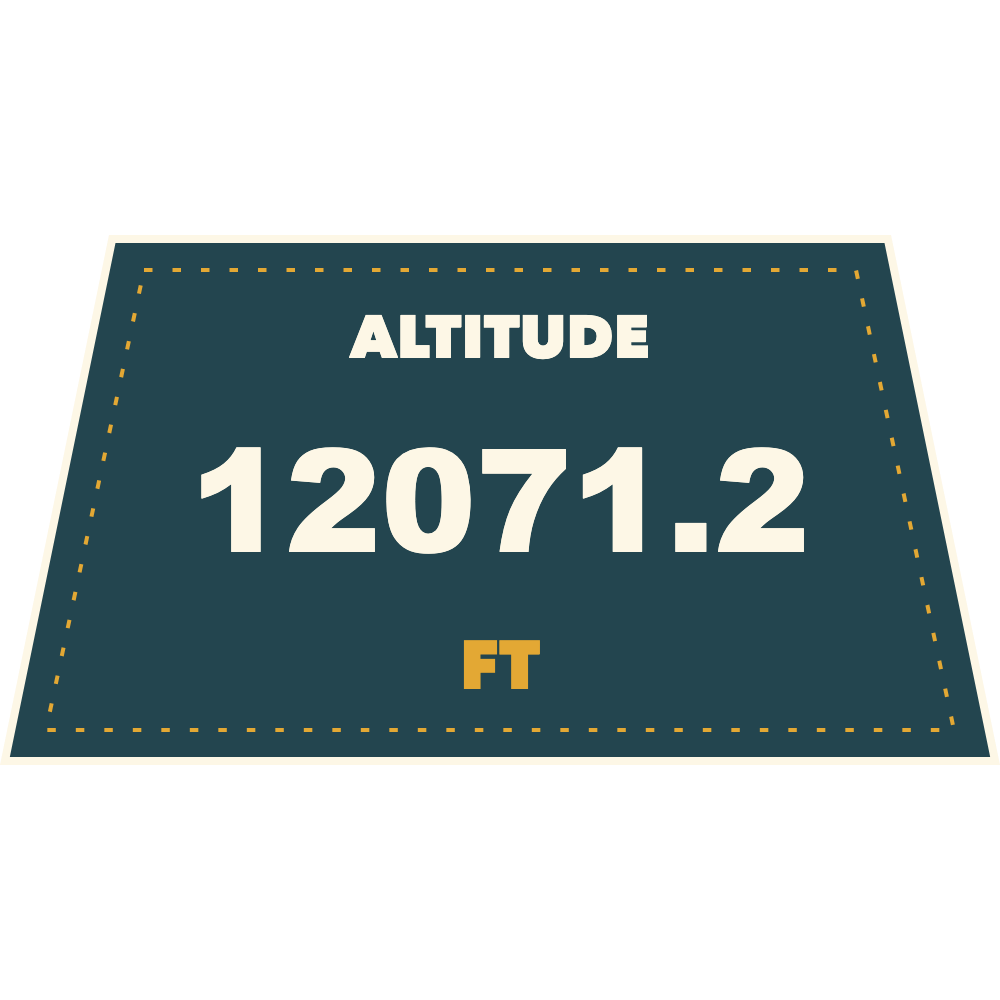 Swell Altitude Text Pennant (Imperial) telemetry overlay preview