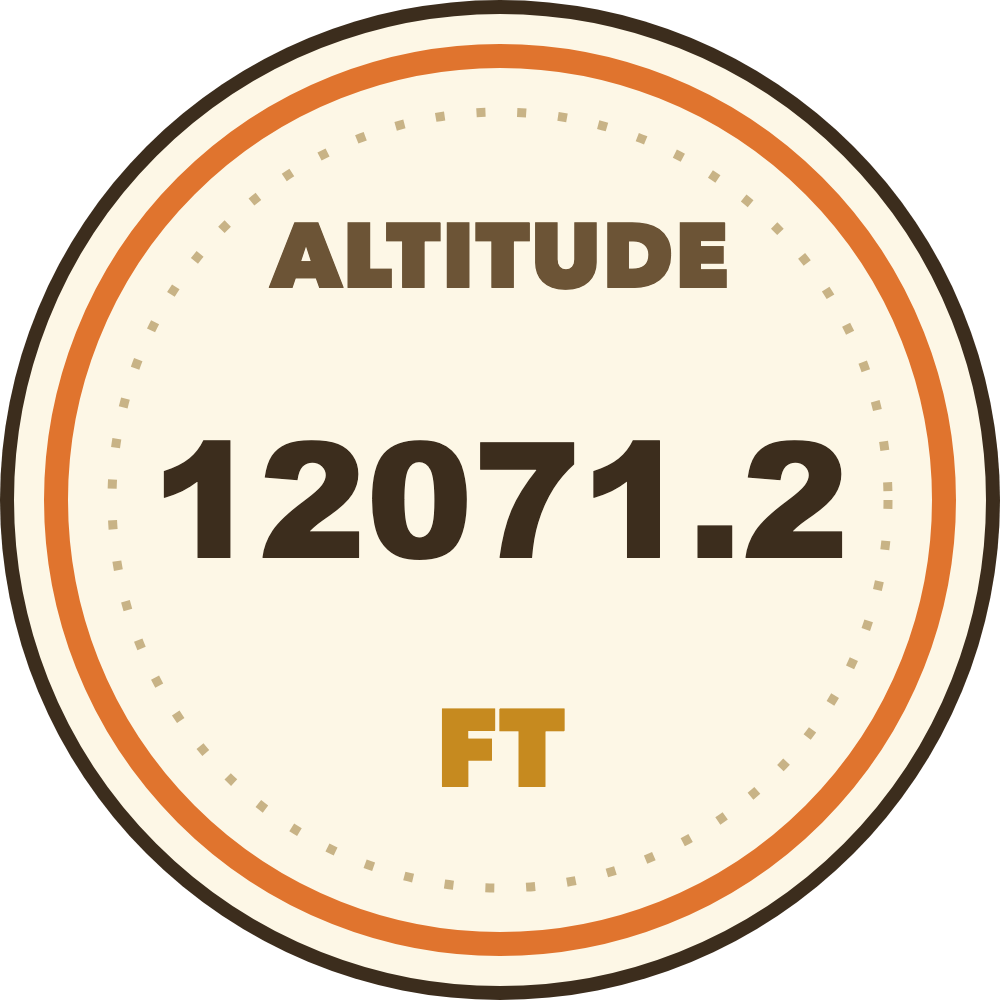 Swell Altitude Text Seal (Imperial) telemetry overlay preview