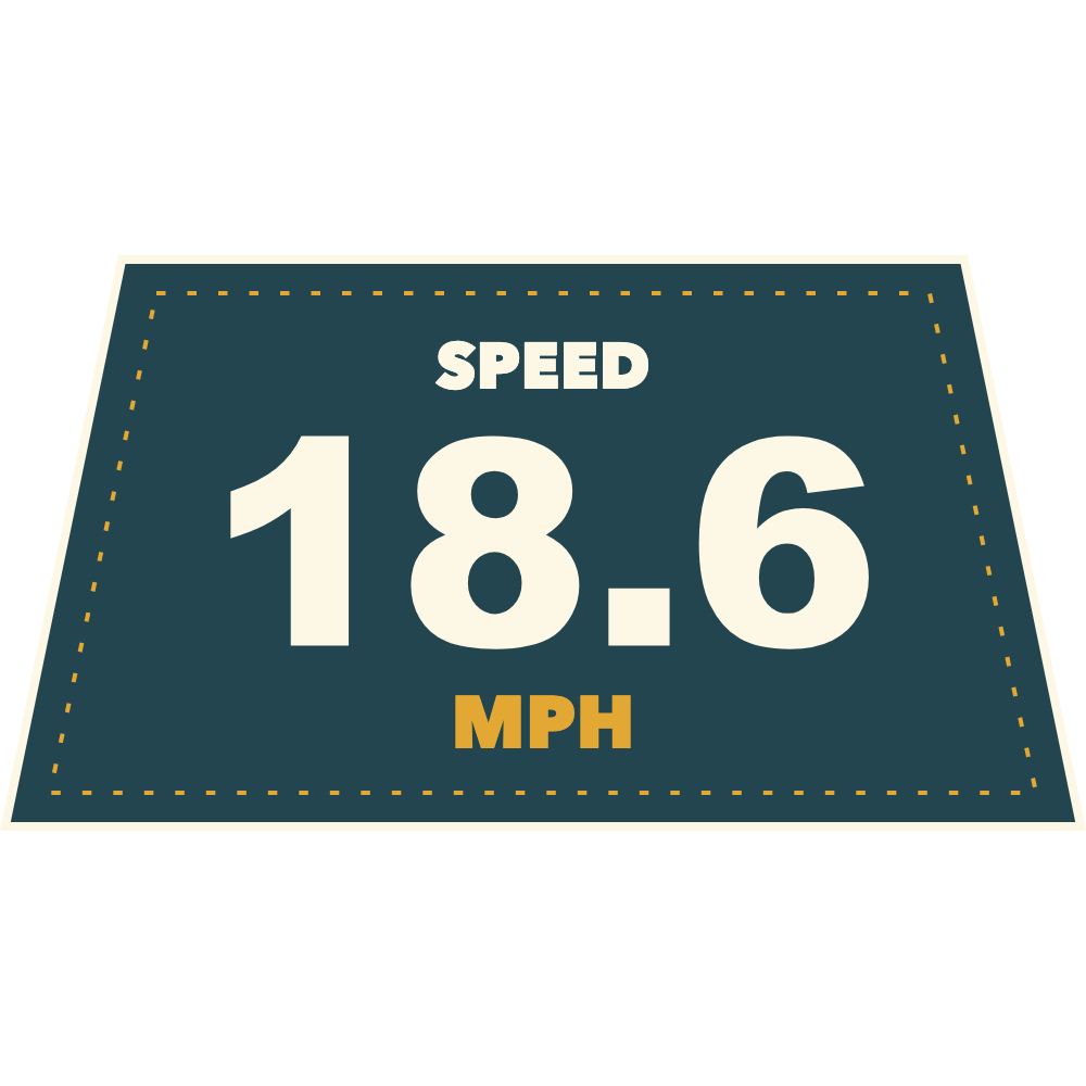Swell Speed Text Pennant (Imperial) telemetry overlay preview