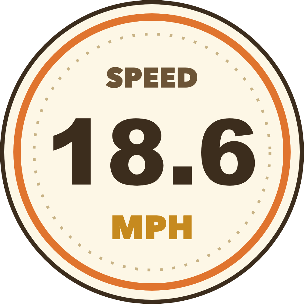 Swell Speed Text Seal (Imperial) telemetry overlay preview